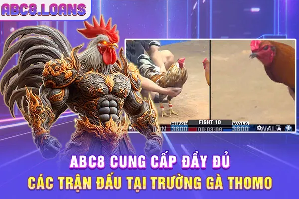 ABC8 cung cấp đầy đủ các trận đấu tại trường gà Thomo