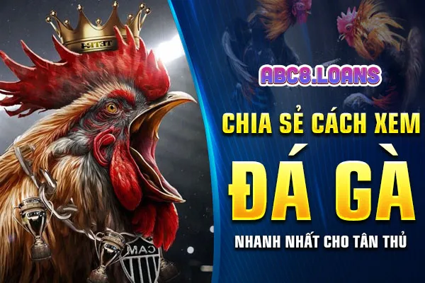 Chia sẻ cách xem đá gà nhanh nhất cho tân thủ