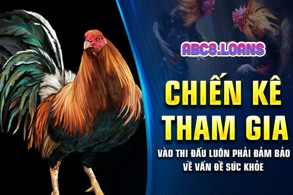 Chiến kê tham gia vào thi đấu luôn phải đảm bảo về vấn đề sức khỏe