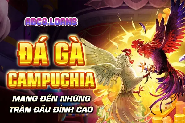 Đá gà Campuchia mang đến những trận đấu đỉnh cao