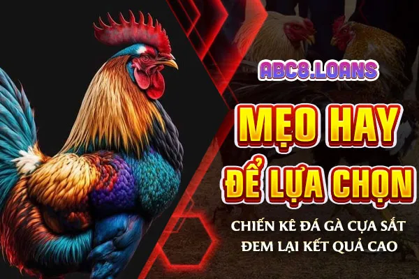 Mẹo hay để lựa chọn chiến kê đá gà cựa sắt đem lại kết quả cao
