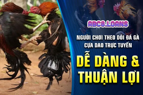 Người chơi theo dõi đá gà cựa dao trực tuyến dễ dàng và thuận lợi
