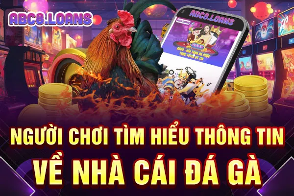 Người chơi tìm hiểu thông tin về nhà cái đá gà