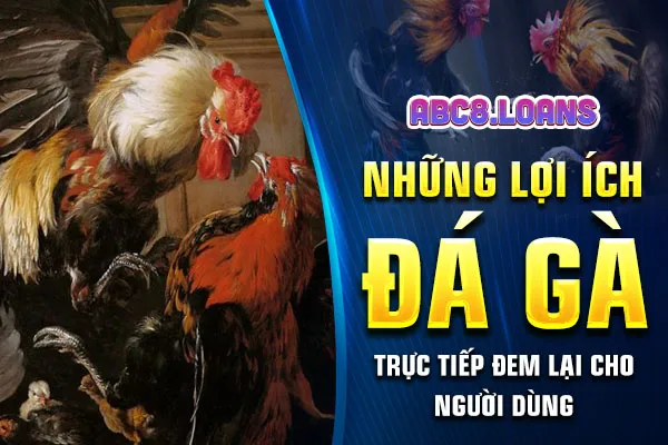 Những lợi ích mà đá gà trực tiếp đem lại cho người dùng