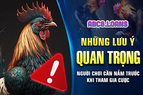 Những lưu ý quan trọng người chơi cần nắm trước khi tham gia cược